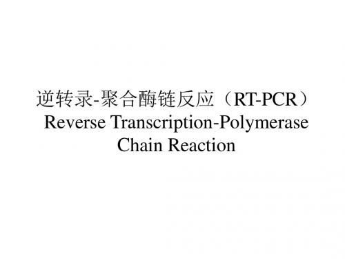 逆转录-聚合酶链反应RT-PCRReverseTranscription-Polymerase