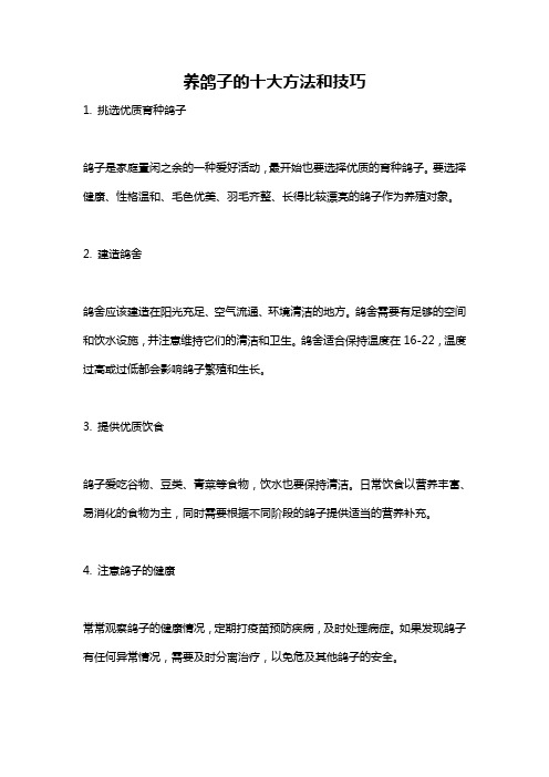 养鸽子的十大方法和技巧