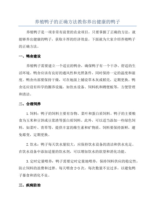 养殖鸭子的正确方法教你养出健康的鸭子