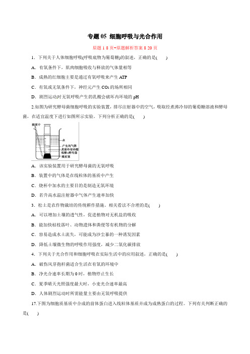 2019年高考生物提分秘籍：专题05-细胞呼吸与光合作用(热点难点突破,含答案解析)