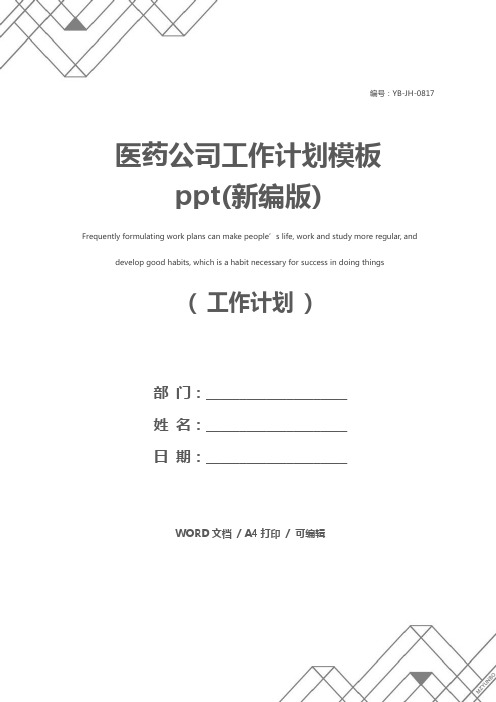 医药公司工作计划模板ppt(新编版)