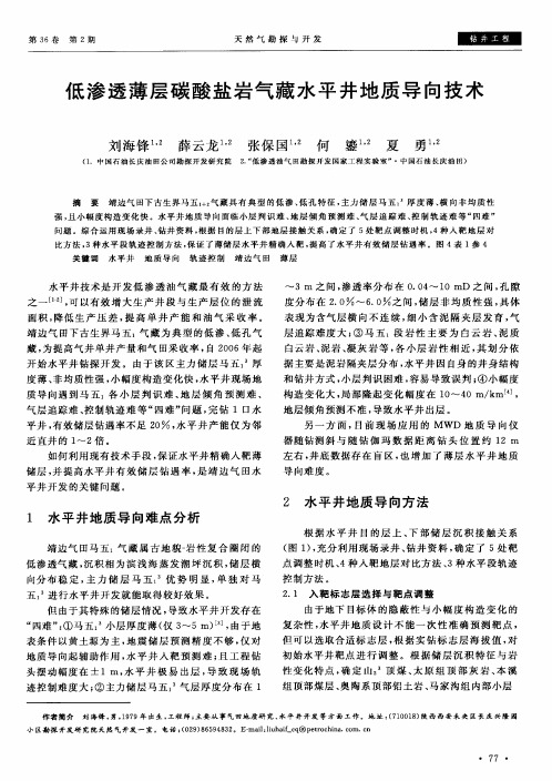 低渗透薄层碳酸盐岩气藏水平井地质导向技术