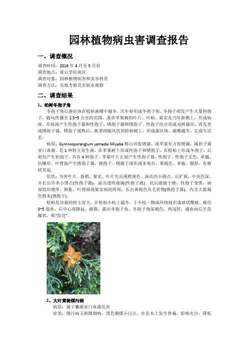 园林植物病虫害调查报告