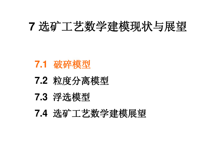 矿加数学模型-第七章选矿工艺数学建模现状与展望