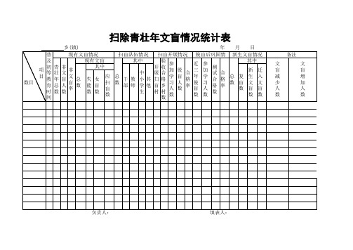 扫除青壮年文盲情况统计表