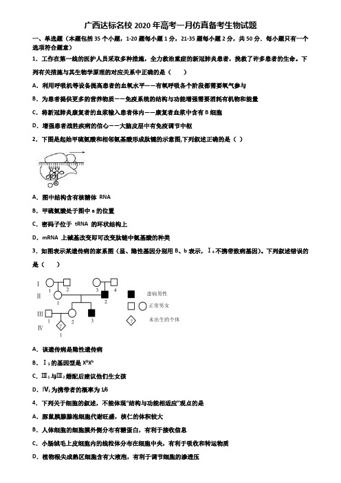 广西达标名校2020年高考一月仿真备考生物试题含解析