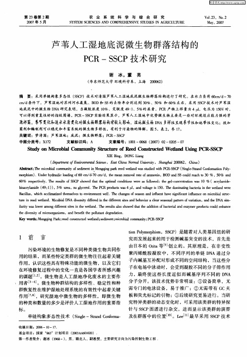 芦苇人工湿地底泥微生物群落结构的PCR—SSCP技术研究