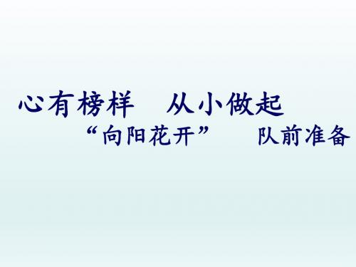 一年级综合实践活动队前准备全国通用