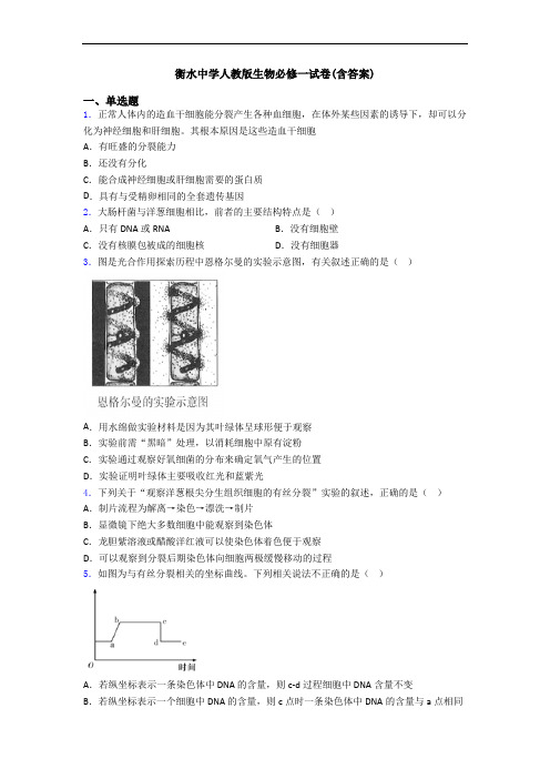 衡水中学人教版生物必修一试卷(含答案)