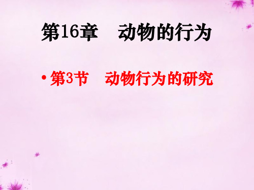 八年级生物上册 第十六章 第三节 动物行为的研究课件 北师大版