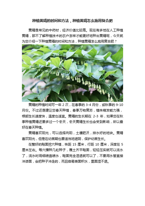 种植黄精的时间和方法，种植黄精怎么施用复合肥