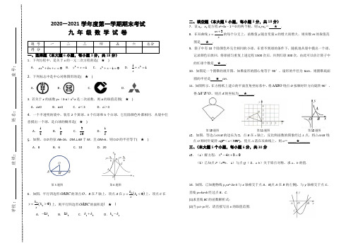 2020-2021学年九年级上学期期末考试数学试题