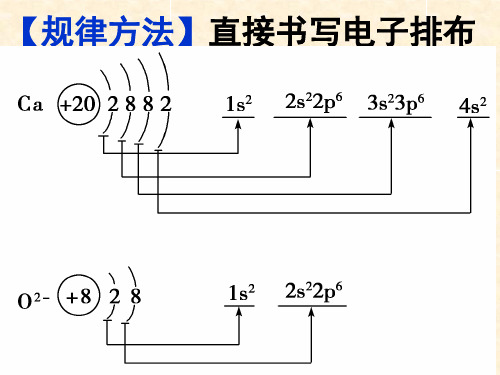 周期和族的划分