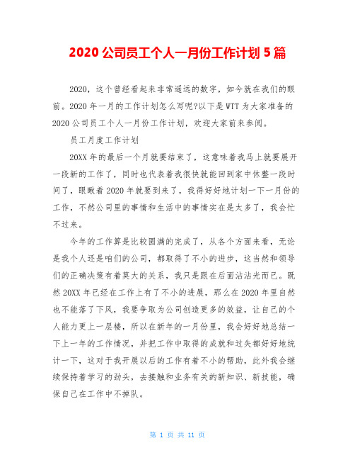 2020公司员工个人一月份工作计划5篇