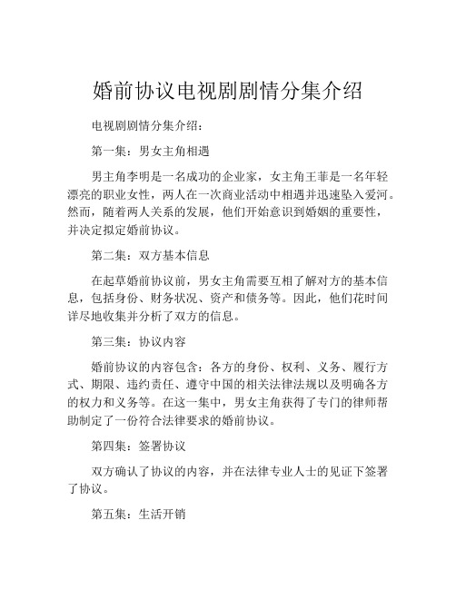 婚前协议电视剧剧情分集介绍