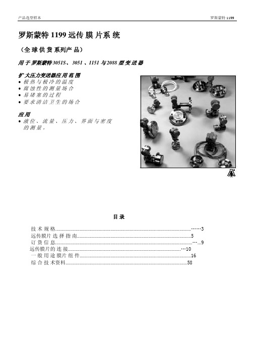 罗斯蒙特 1199 选型样本