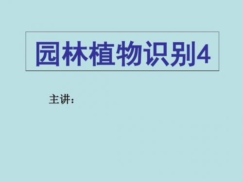 最新文档-园林植物识别大全四-PPT精品文档