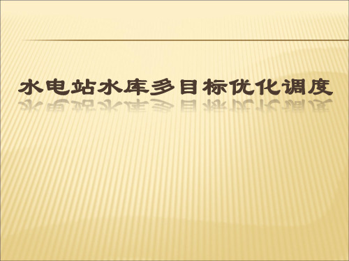 水电站水库优化调度多目标决策教材