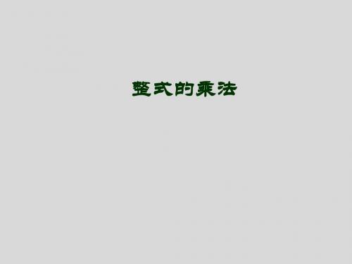 3.3《整式》课件(华师大) (1)