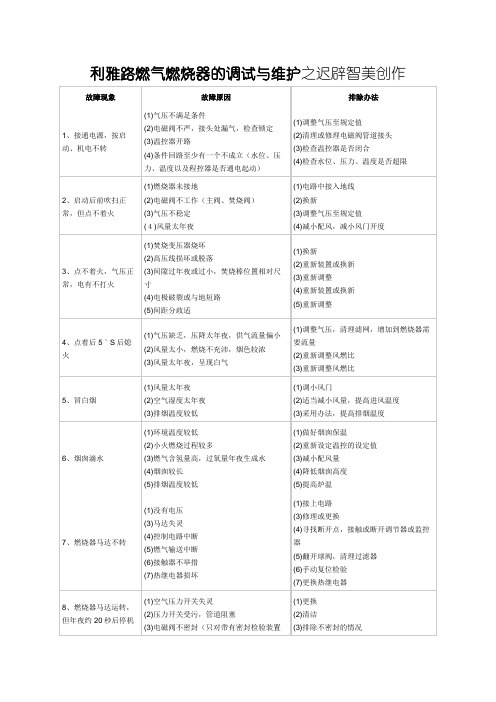 利雅路燃气燃烧器的调试与维护