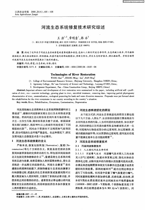 河流生态系统修复技术研究综述