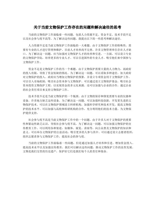 关于当前文物保护工作存在的问题和解决途径的思考