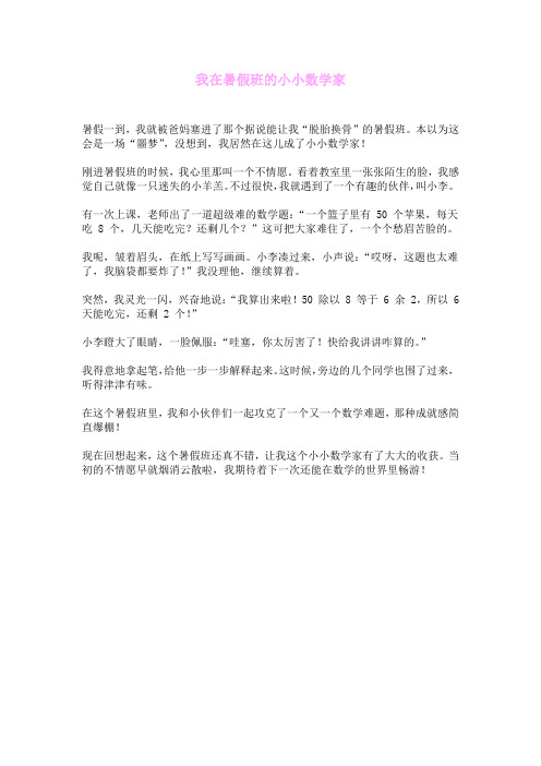 我在暑假班的小小数学家