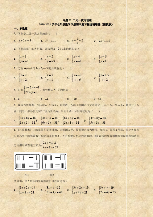 湘教版七年级数学下册期末复习：专题01 二元一次方程组(Word学生考试版)