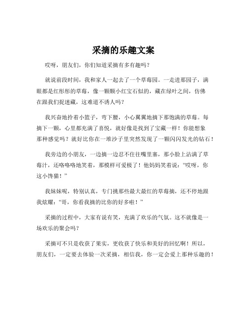 采摘的乐趣文案