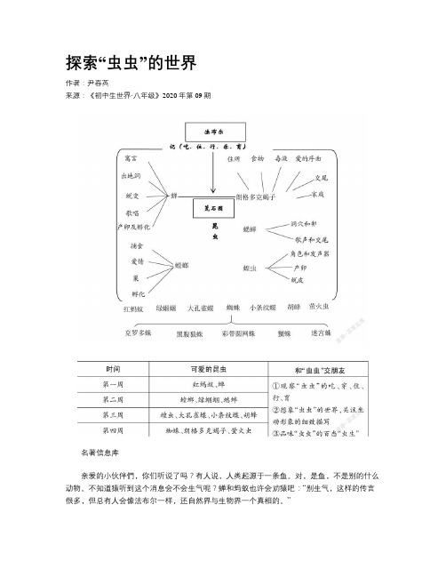 探索“虫虫”的世界