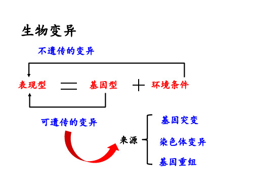 期中考试复习必修二