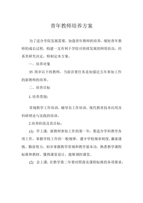 大学高校青年教师培养方案