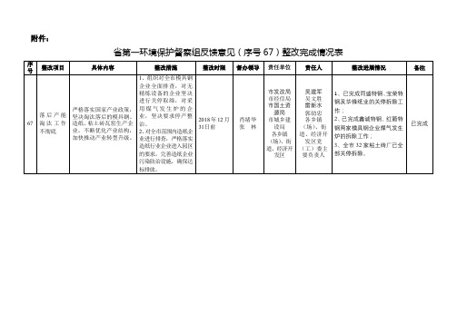 省第一环境保护督察组反馈意见(序号67)整改完成情况表【模板】