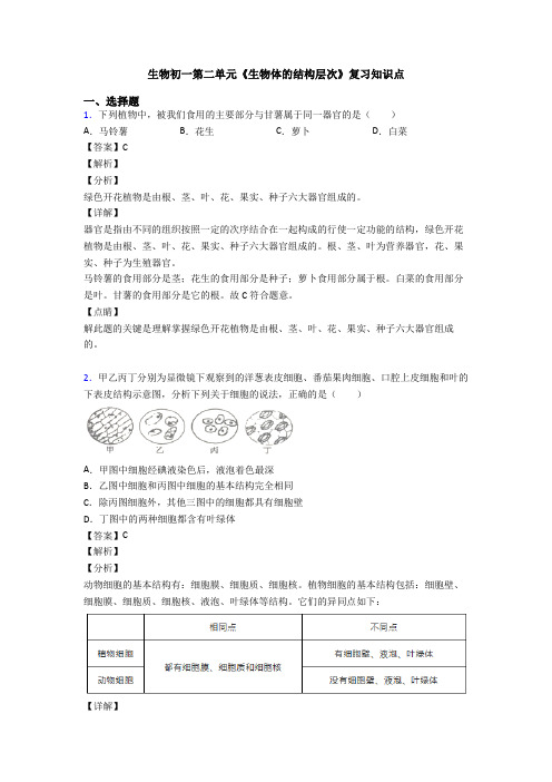 生物初一第二单元《生物体的结构层次》复习知识点