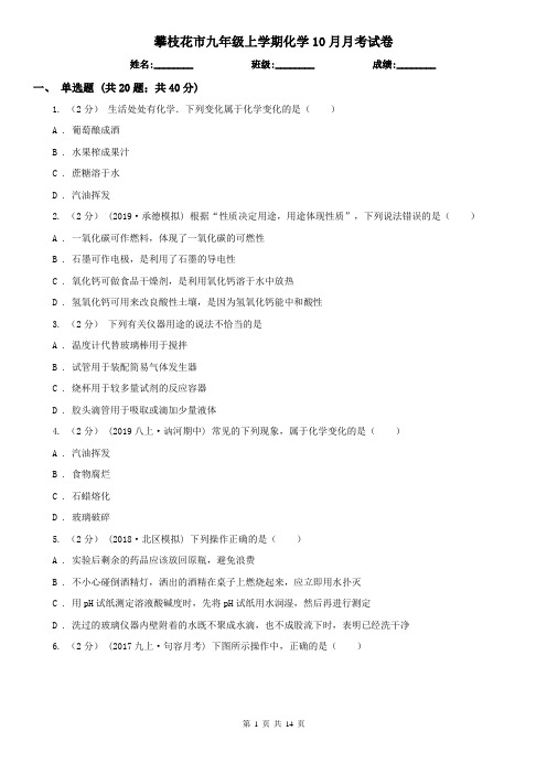 攀枝花市九年级上学期化学10月月考试卷