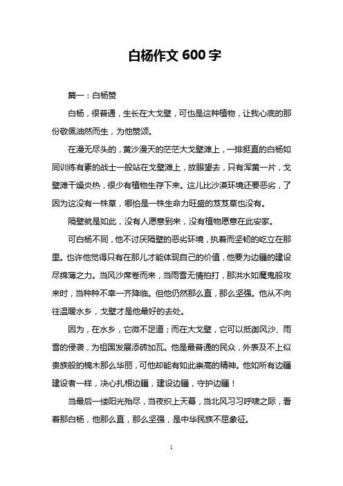 白杨作文600字