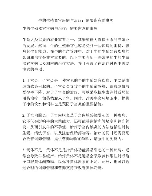 牛的生殖器官疾病与治疗：需要留意的事项