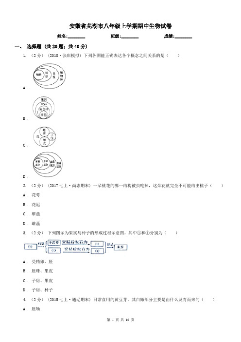 安徽省芜湖市八年级上学期期中生物试卷