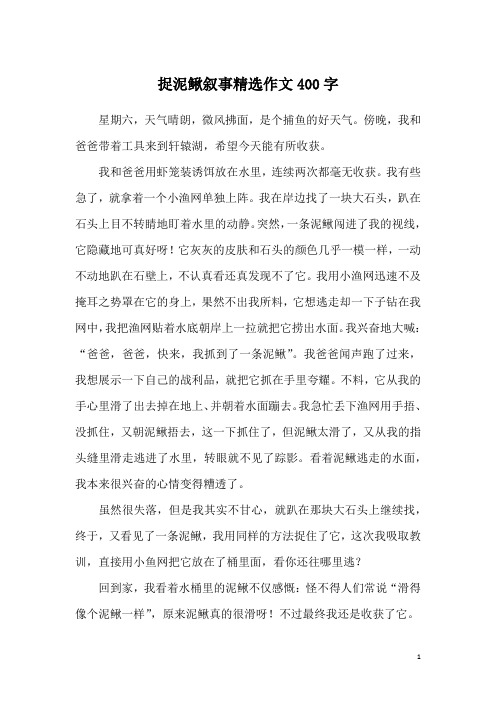 捉泥鳅叙事精选作文400字