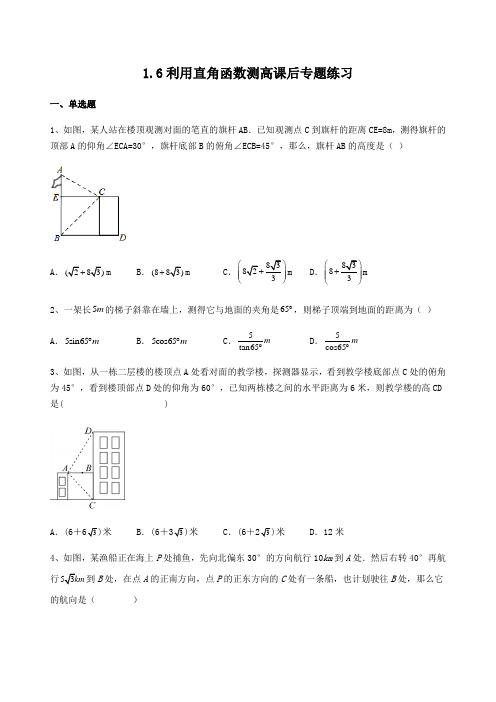 利用三角函数测高  课后专题练习(无答案)北师大版九年级数学下册