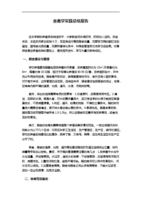 养禽学小组实践报告