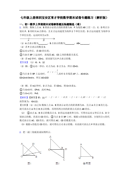 七年级上册深圳宝安区育才学校数学期末试卷专题练习(解析版)