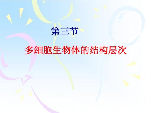 济南版七上第一单元第二章第三节多细胞生物体的结构层次(共26张PPT)