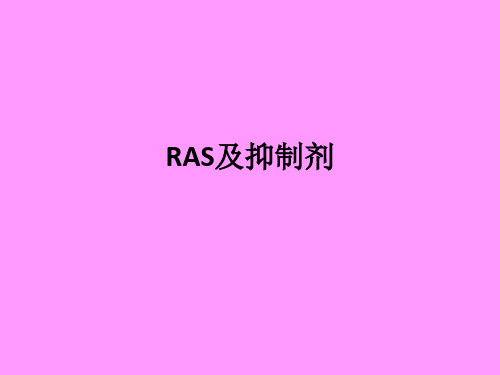 RAS及抑制剂ppt课件