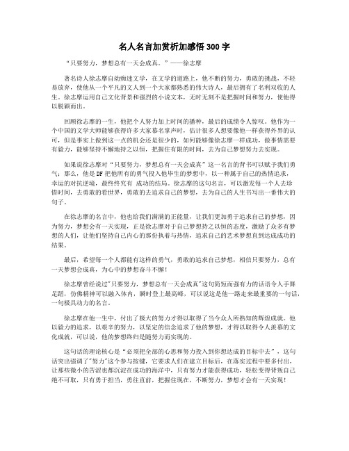 名人名言加赏析加感悟300字