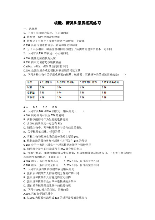 高三生物一轮专题练第4讲核酸、糖类和脂质拔高练习2