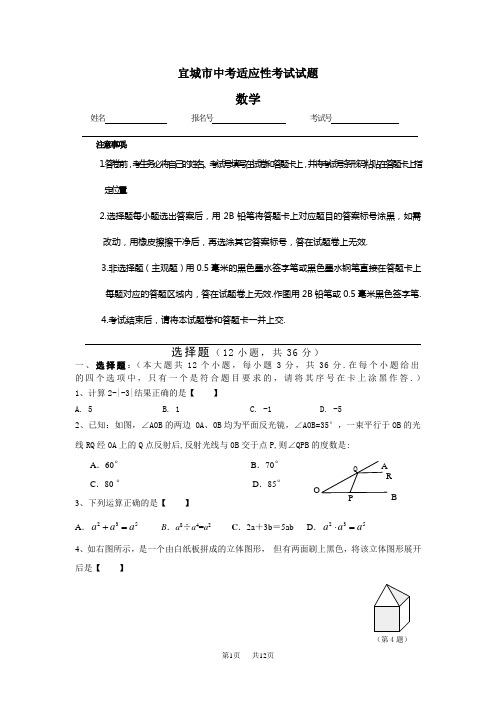 中考适应性考试数学试题及答案 