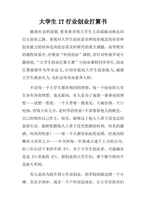 大学生IT行业创业打算书