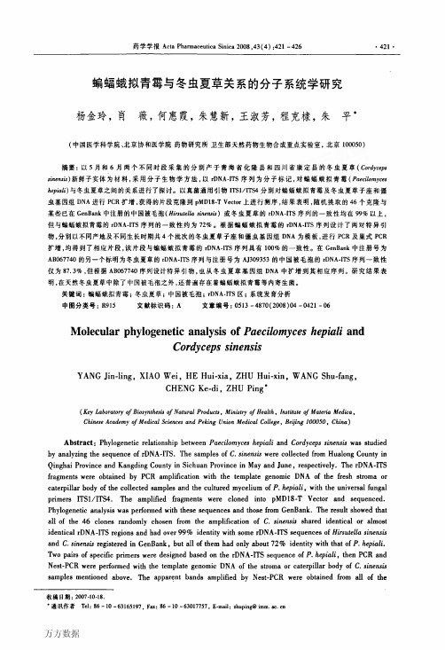 蝙蝠蛾拟青霉与冬虫夏草关系的分子系统学研究