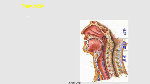 下咽癌靶区勾画PPT课件